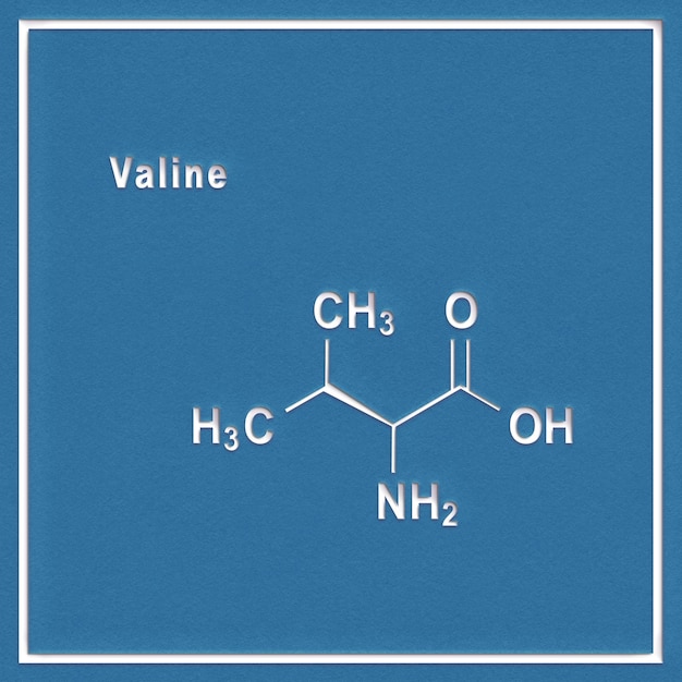 Amminoacido valina (l-valina, Val, V), struttura chimica su sfondo bianco