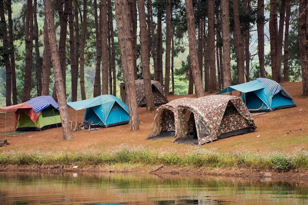Ammira il paesaggio della pineta di Pang Ung e il campeggio in tenda mentre le zattere di bambù si muovono nel lago Pang Oung o in Svizzera della Thailandia nell'autentico villaggio cinese Ban Rak Thai a Mae Hong Son Thailandia