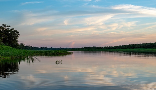 Ammirando la natura scattata da Iquitos in Perù