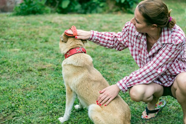 Amore animale nella natura