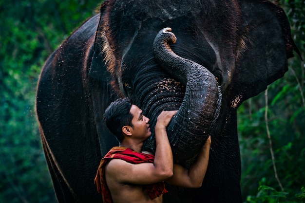 Amore di Mahout con il suo elefante, Thailandia