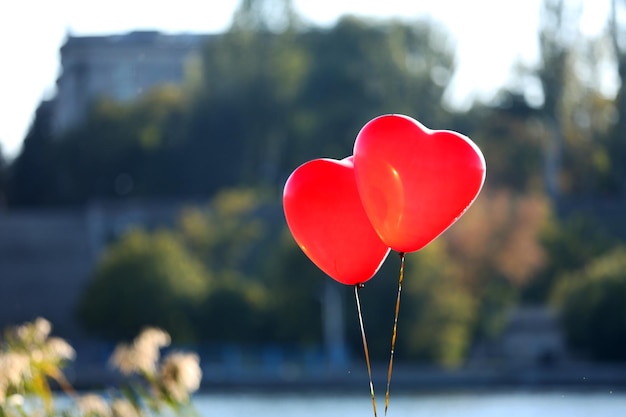 Amore palloncini cuore, all'aperto