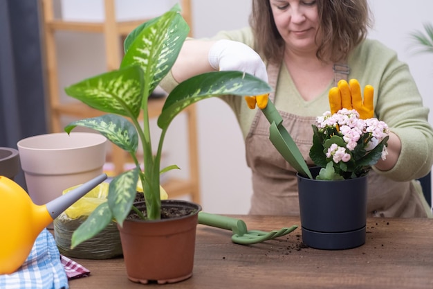 Amore per le piante avviando un giardino domestico puoi coltivarle con cura e vederle prosperare