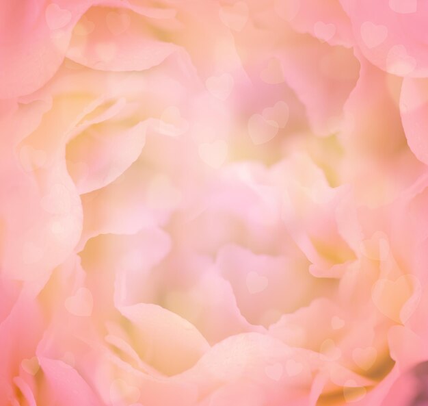 Amore sfondo floreale con cuori I petali di fiori sono realizzati come macro shot