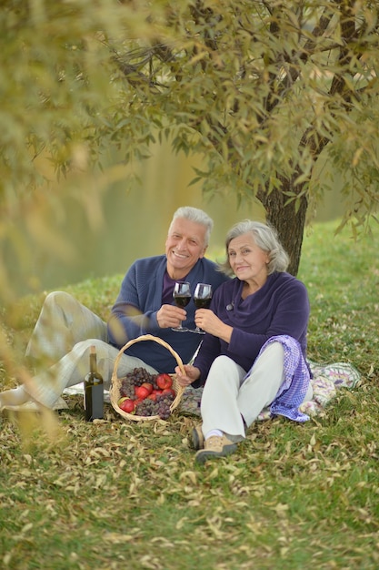 Amorevole coppia di anziani che fa un picnic al parco