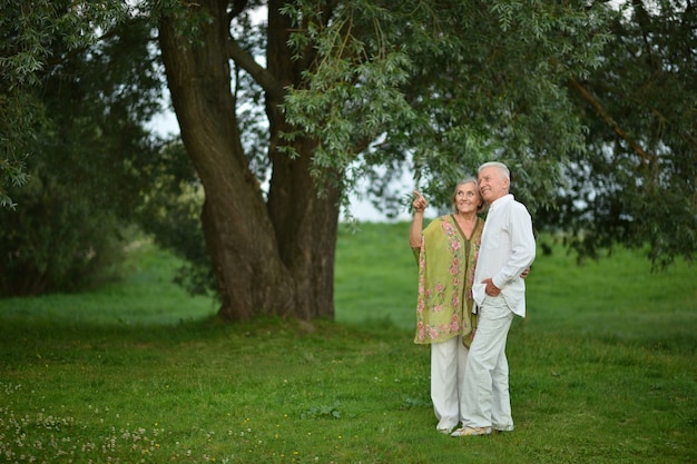 Amorevole coppia matura in una passeggiata nel parco in estate, donna che indica con la mano