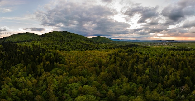 Ampia vista panoramica aerea di scure colline di montagna ricoperte di verde pino misto e lussureggiante foresta in serata