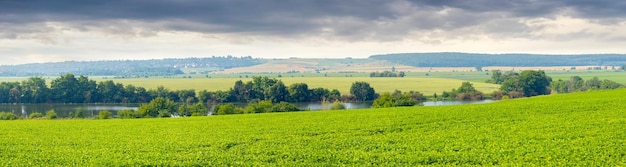 Ampio e spazioso campo verde vicino al fiume e alla foresta di alberi in lontananza e pittoresco cielo nuvoloso