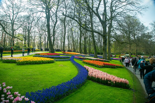 AMSTERDAM, PAESI BASSI-Aprile 20,2018: Keukenhof giardino bellissimo floreale nei Paesi Bassi whtere regolare fiore nel giardino ogni anno.