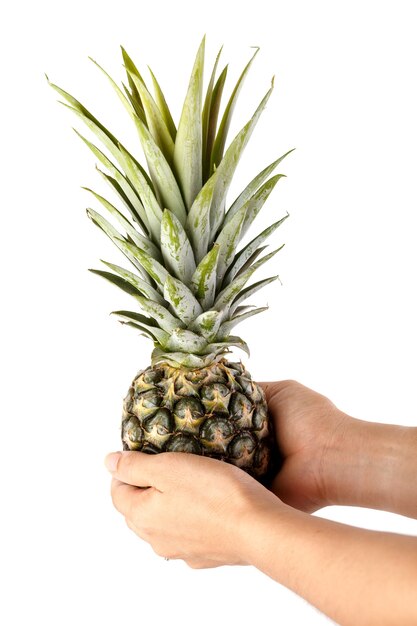 Ananas a portata di mano con sfondo bianco