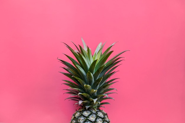 Ananas con sfondo rosa