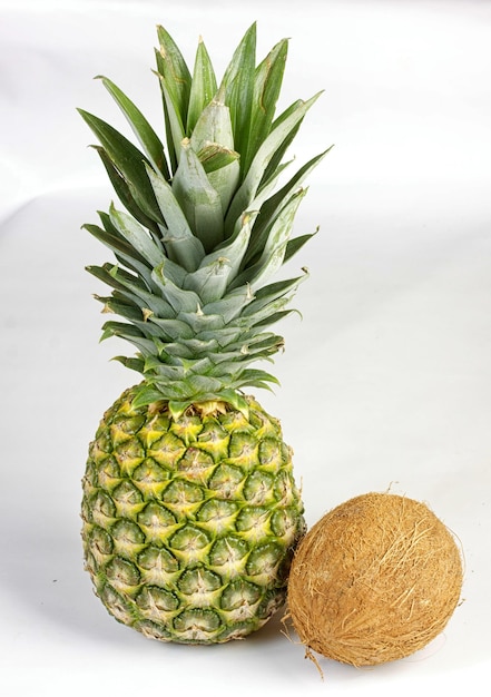 Ananas e Cocco