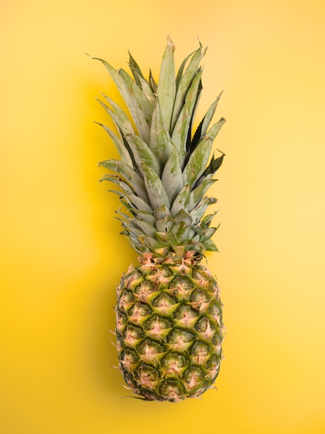 Ananas fresco sulla parete blu