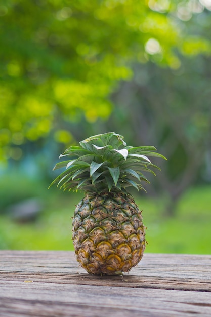 ananas in natura