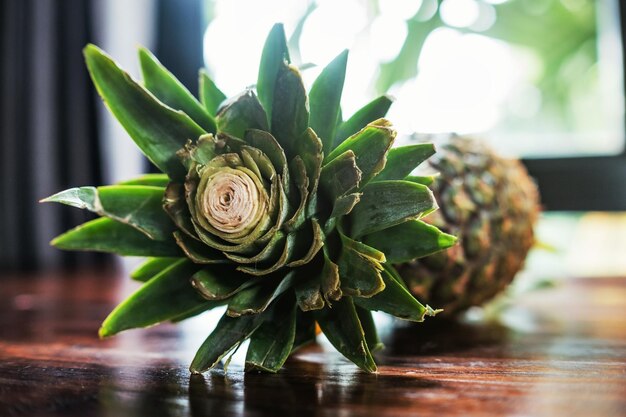 Ananas intero crudo sulla tavola di superficie marrone di legno nella stanza dell'hotel