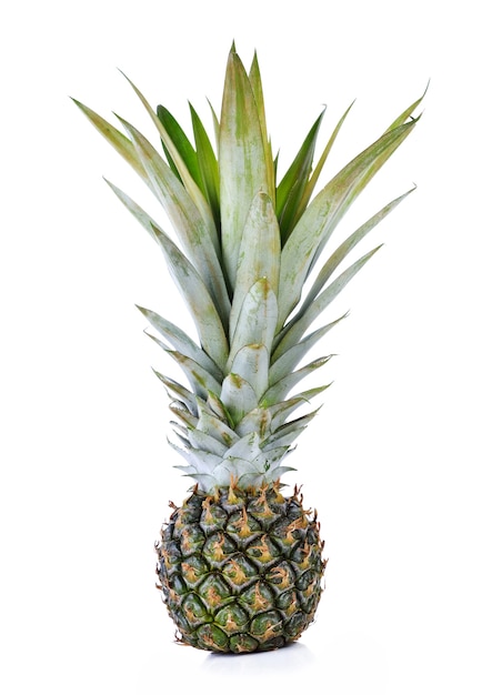 Ananas isolato su bianco