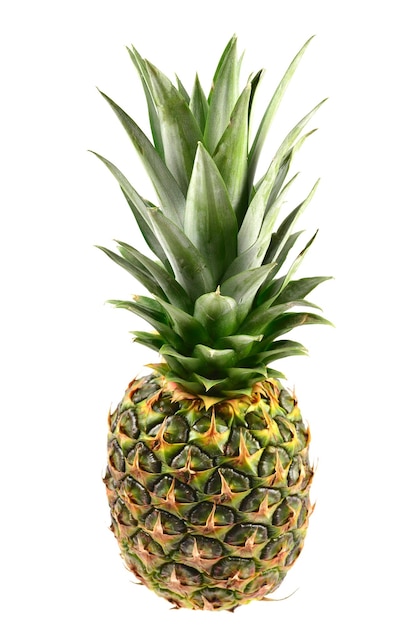 Ananas isolato su bianco