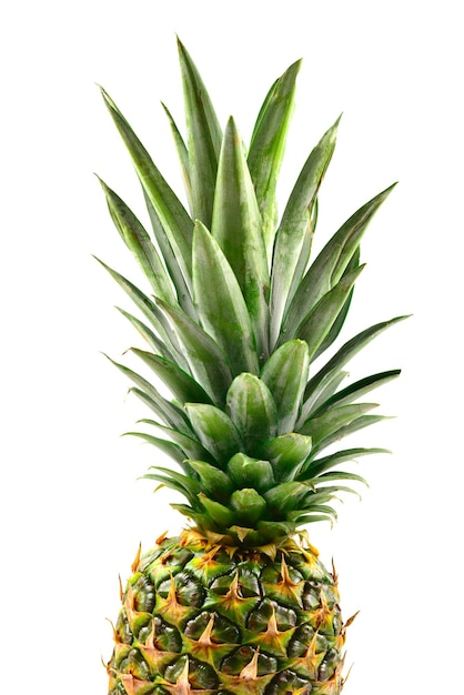 Ananas isolato su bianco