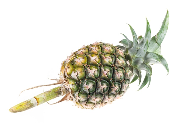 Ananas isolato su bianco