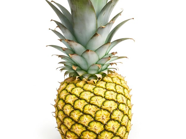 Ananas isolato su sfondo bianco ai generato