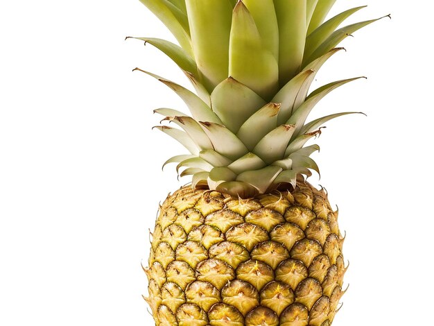 Ananas isolato su sfondo bianco ai generato