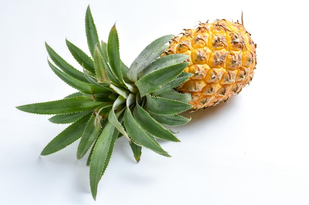 Ananas isolato su sfondo bianco