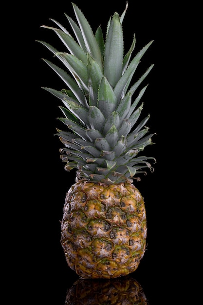 Ananas maturo nero isolato. Mangiare sano frutta tropicale.