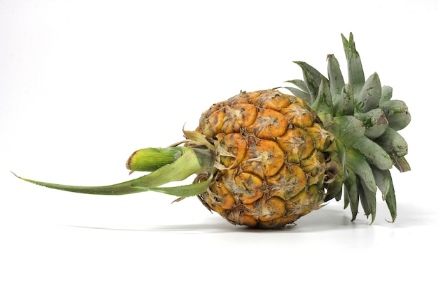 Ananas su uno sfondo bianco.