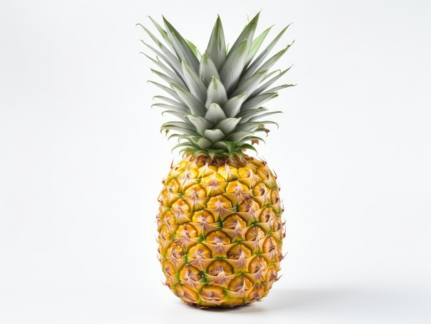 Ananas su uno sfondo bianco