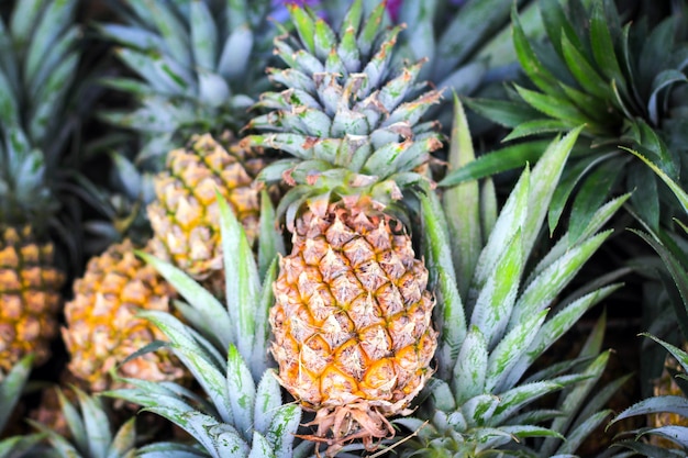 ananas sul mercato