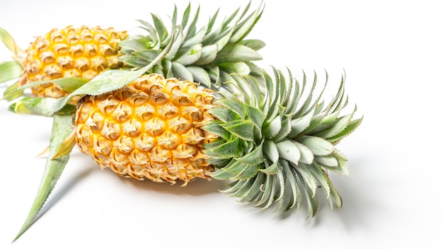 Ananas