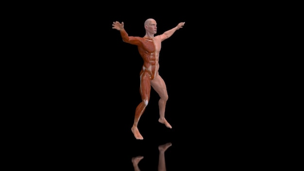 Anatomia astratta 3D di un uomo