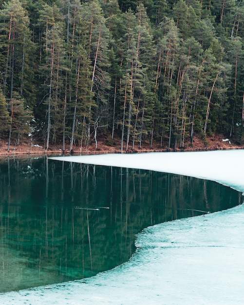 Anatre che nuotano su un lago ghiacciato in un lago alpino, in Tirolo, Austria.