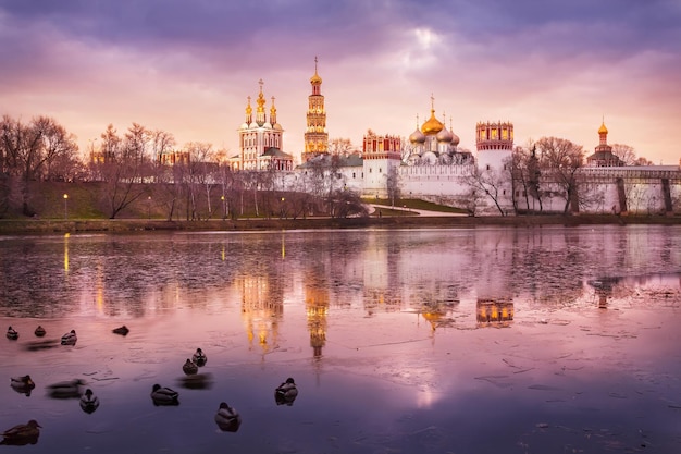 Anatre nello stagno Convento di Novodevichy Mosca