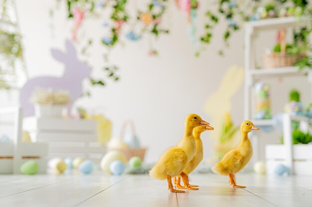 Anatroccoli della decorazione dello studio di Pasqua sullo sfondo dei fiori di coniglietti di legno delle uova tinte colorate