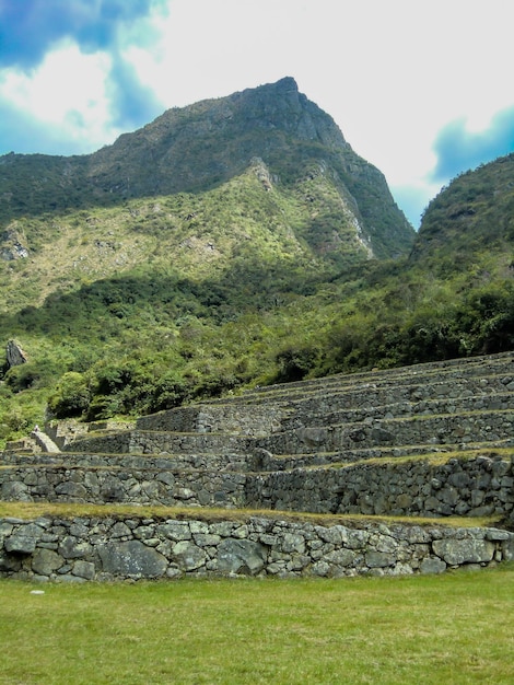 Andenes terrazze a gradoni costruite sulle pendici delle montagne andine