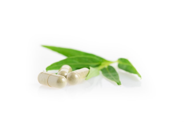 andrographis paniculata capsule antipiretiche a base di erbe isolate su sfondo bianco