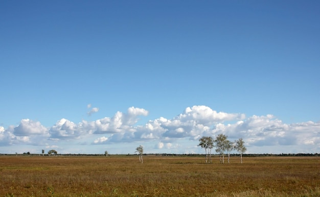 Andscape con nuvole e campo fino all'orizzonte