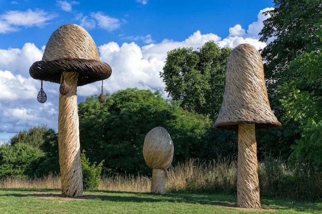 Anello della fata dei funghi di Tom Hare