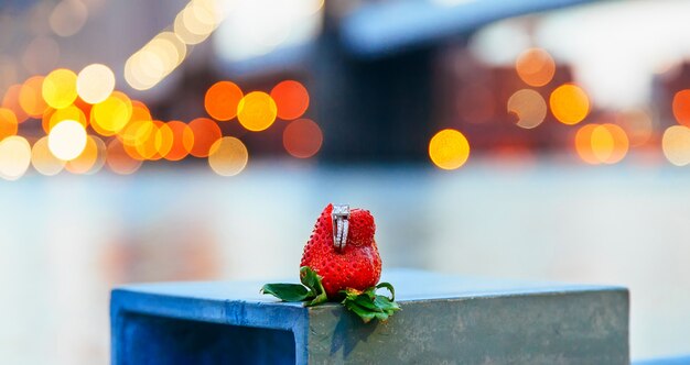 Anello della fragola del ponte di Brooklyn a New York City