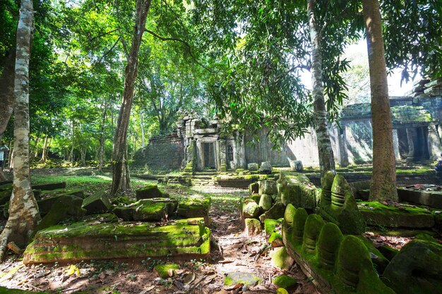 Angkor