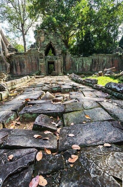 Angkor