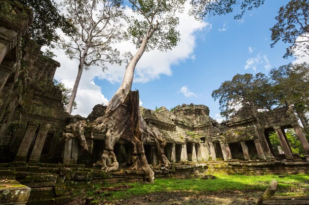 Angkor