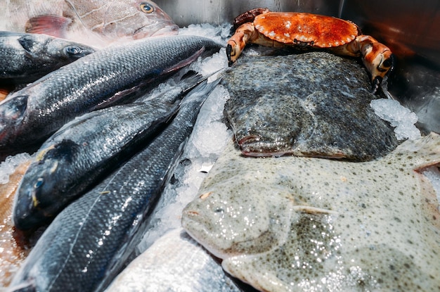 Angolo alto ancora in vita di varietà di pesce fresco crudo tra cui il pesce ray che si raffredda su letto di ghiaccio freddo nella bancarella del mercato dei frutti di mare