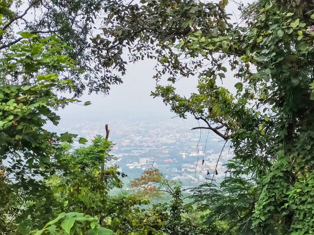 Angolo alto di Chiang Mai, Tailandia nella cornice dall&#39;albero al punto di vista a Doi Suthep.