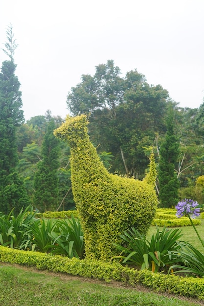 animale fiori giardino parco natura sfondo foto premium