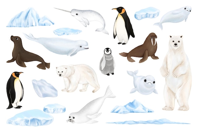 Animali artici png illustrazione adesiva sfondo trasparente set