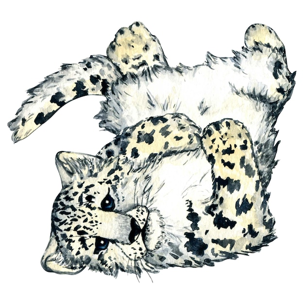 Animali della foresta selvaggia dell'acquerello leopardo delle nevi gattino irbis isolato su sfondo bianco Woodland dipinto a mano natura illustrazione per bambini design cartoline poster e stampa Clip art per la progettazione vivaio