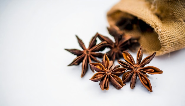 Anise su isolato su sfondo bianco