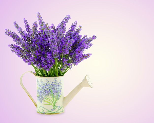 Annaffiatoio con foglie di lavanda